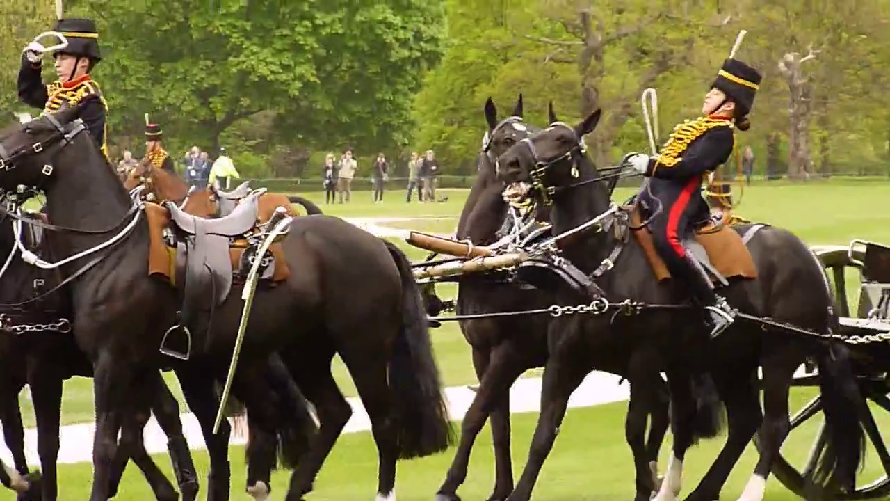 41-gun salute to mark the Queens 91st birthday