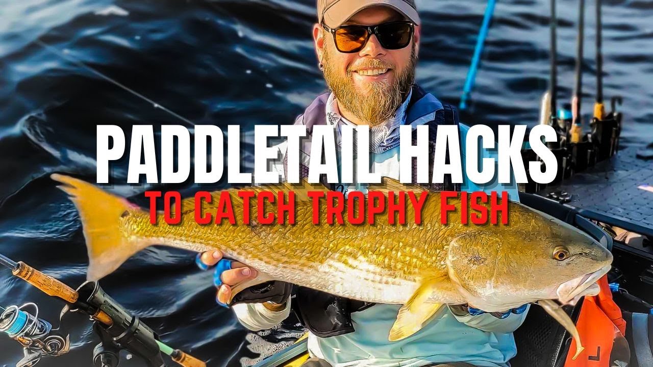 The Big Fish Recipe: 3 Paddletail Tips To Catch Bigger Fish