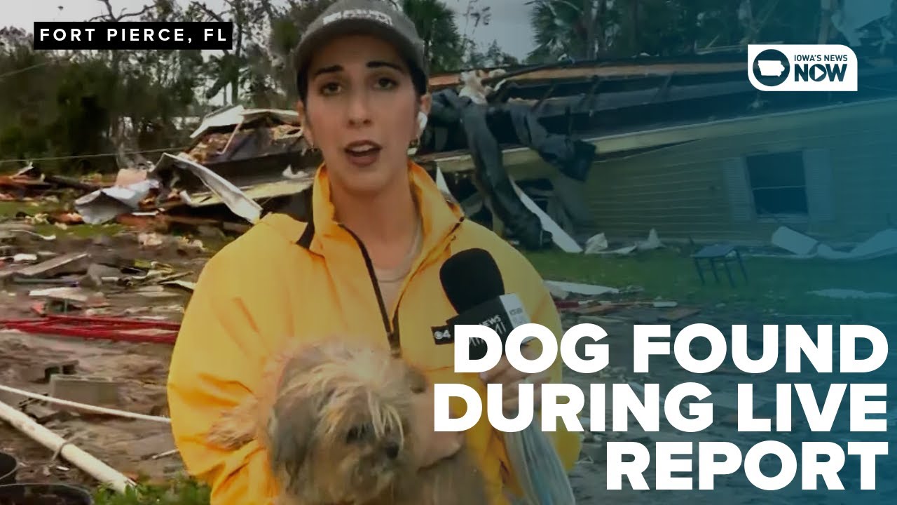 Dog found in home rubble during live CBS report