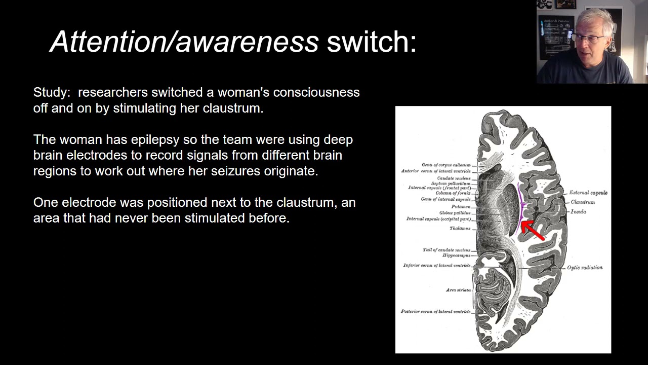 Consciousness, Divide and Conquer part 2