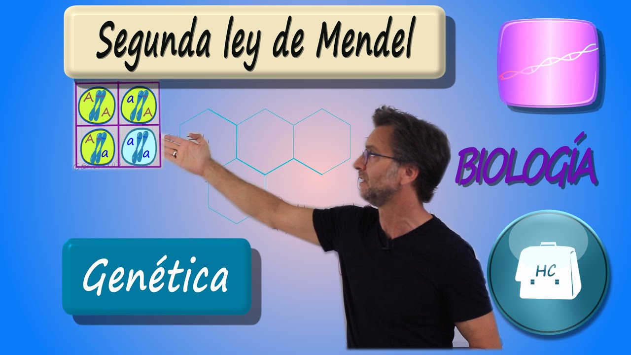 Segunda ley de Mendel
