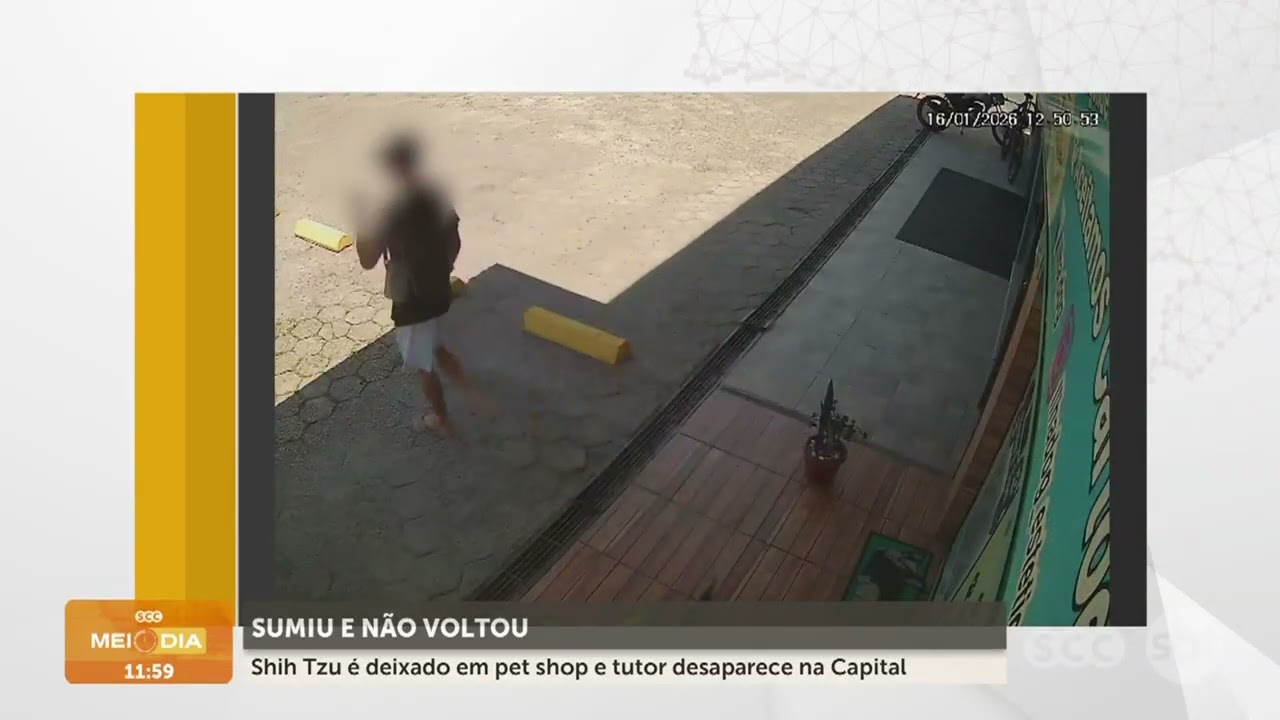 Shih Tzu é deixado em pet shop e tutor desaparece na Capital | Cotidiano | SCC Meio-Dia