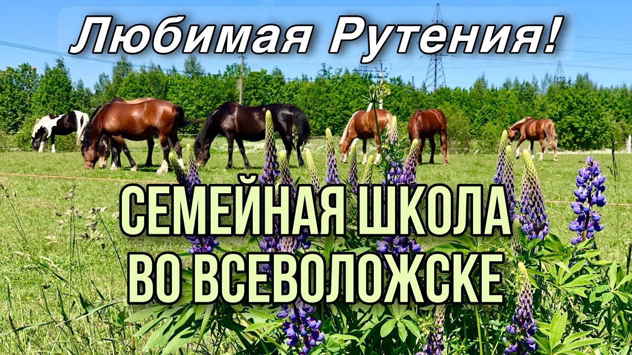 Русская Классическая Школа 
