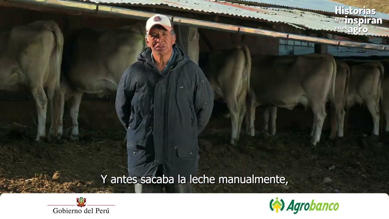 Historias que inspiran en el agro | pequeño productor pecuario de Ayaviri (Puno)