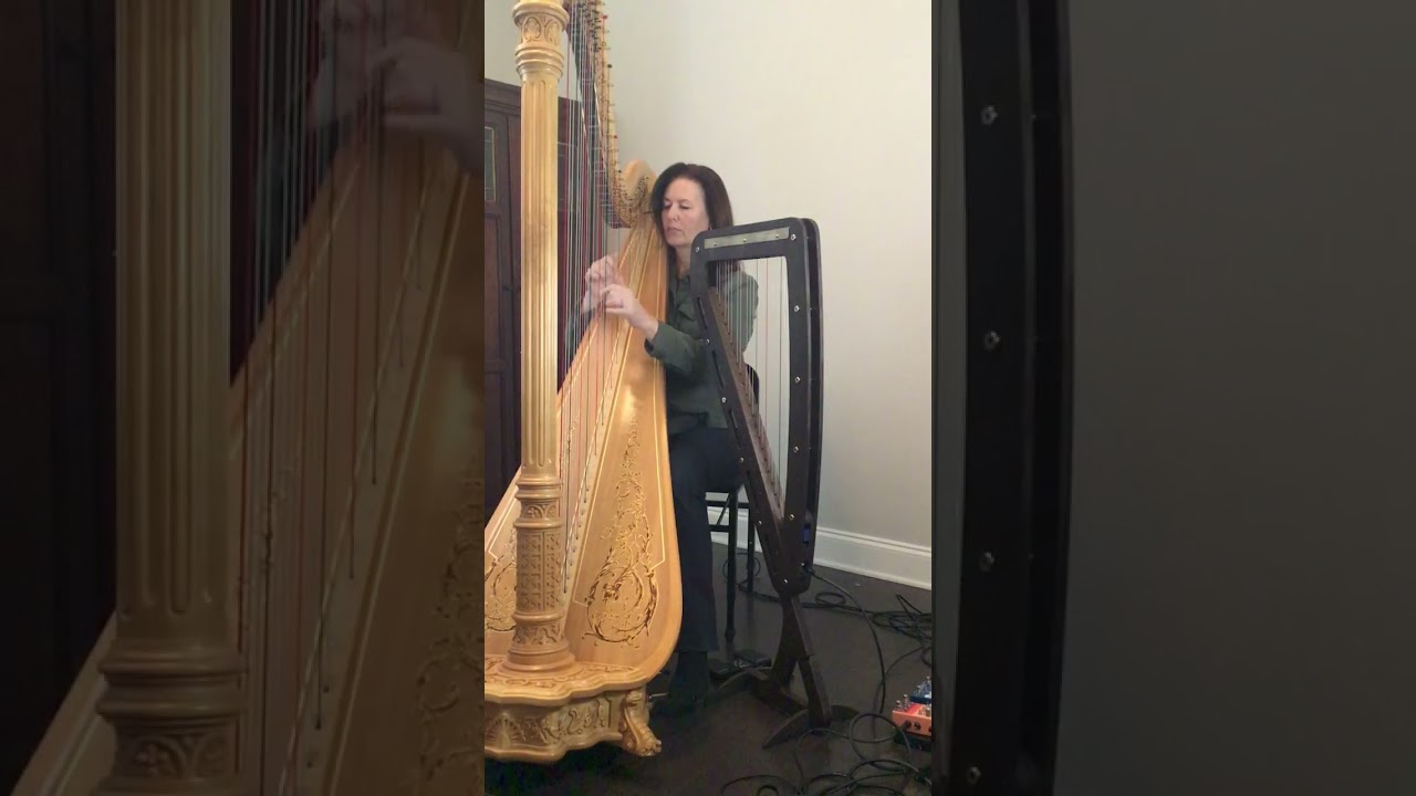 Fragile by Sting - harp cover by Vonda Darr