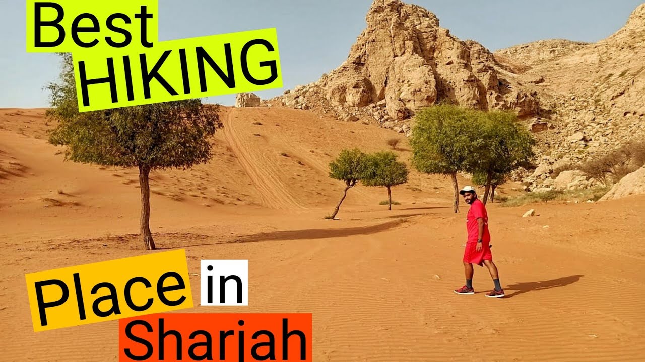 Fossil Rock in Sharjah, The Best Place for Your Hiking, Trekking, Camping #NYST