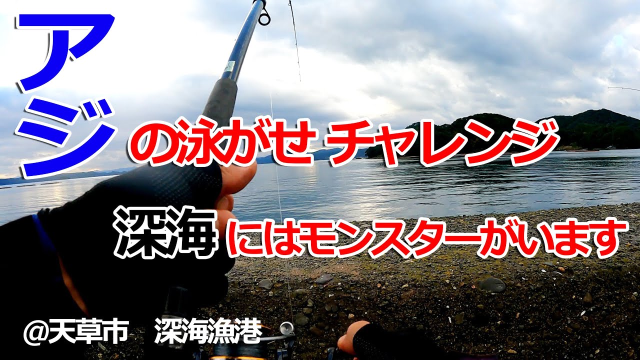 2023年11月～12月中旬　天草市　深海漁港　釣行