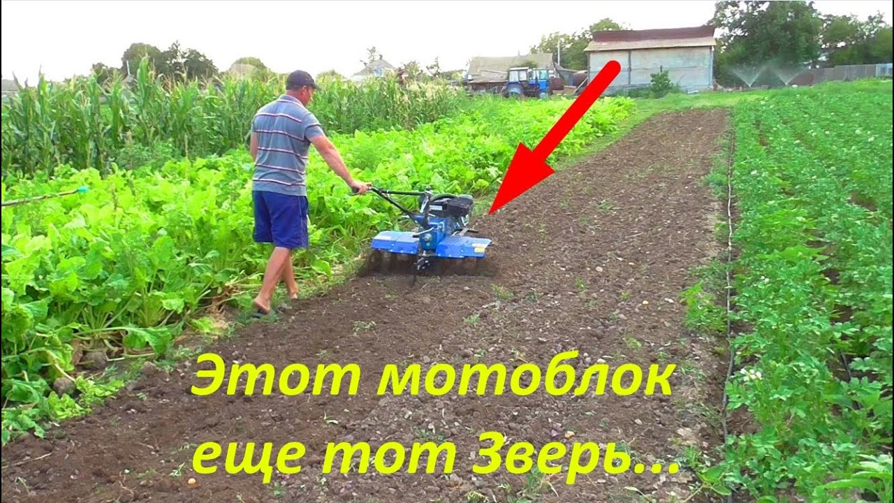 ТЕСТ фрезы мотоблока Кентавр!