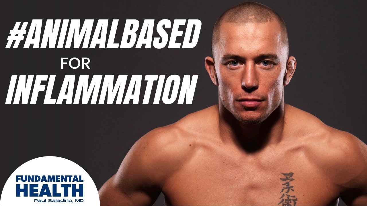 Battling Inflammation on an #AnimalBased diet with Georges St. Pierre