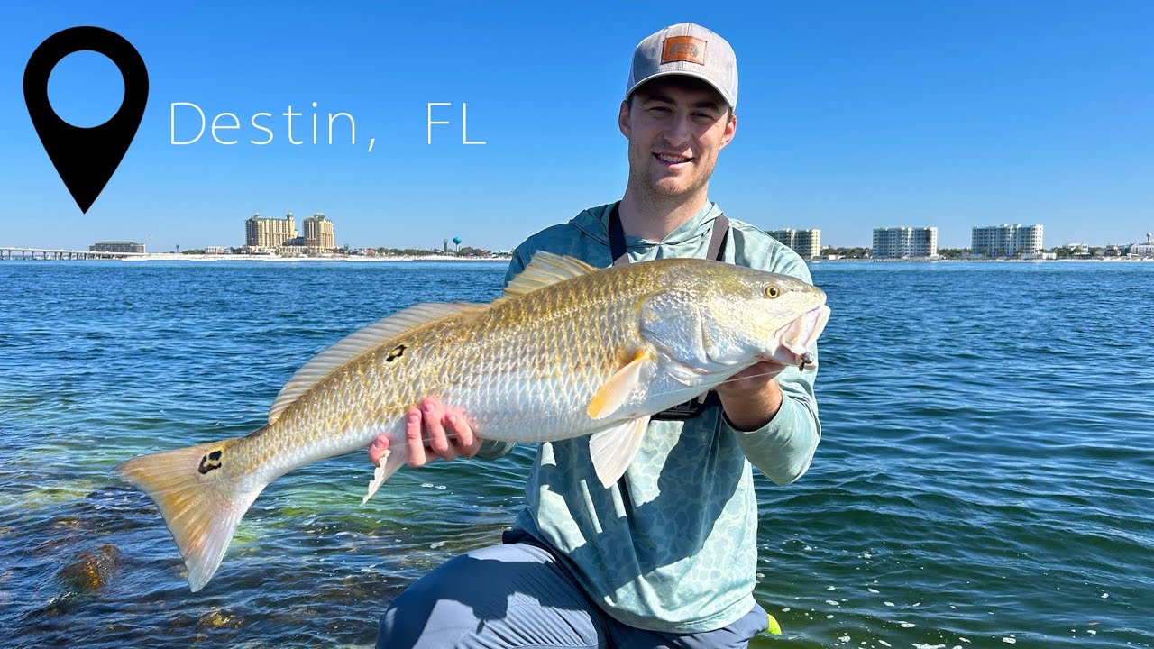Fishing the Destin Jetty for HUGE Fish