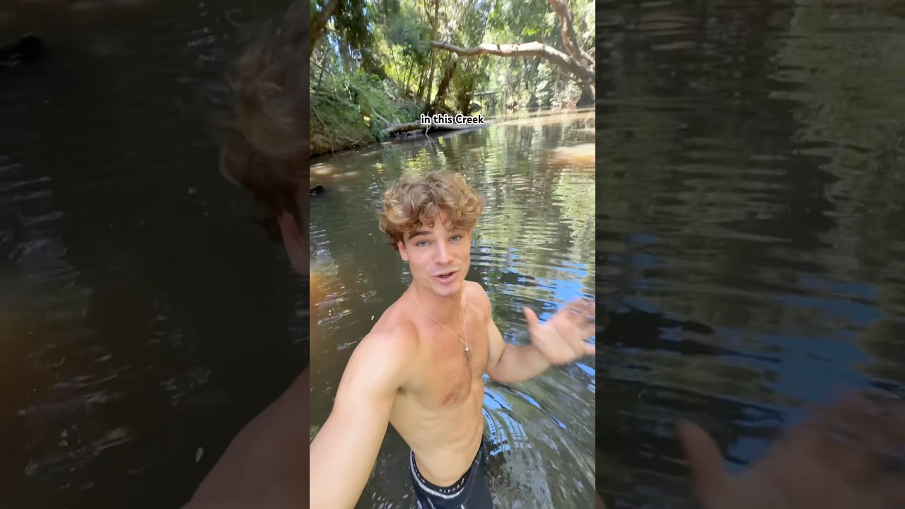 Опасные животные Австралии