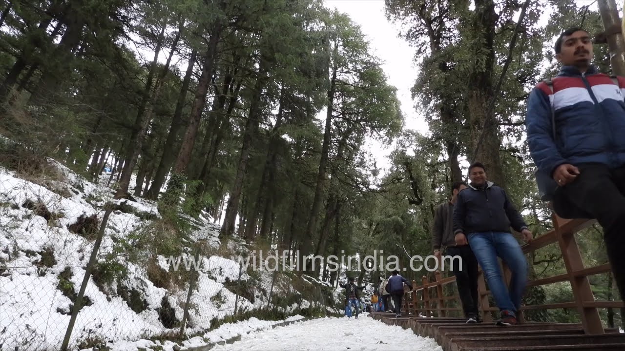 Snow sends shivers of excitement down people&rsquo;s spines | Shimla | Himachal Pradesh