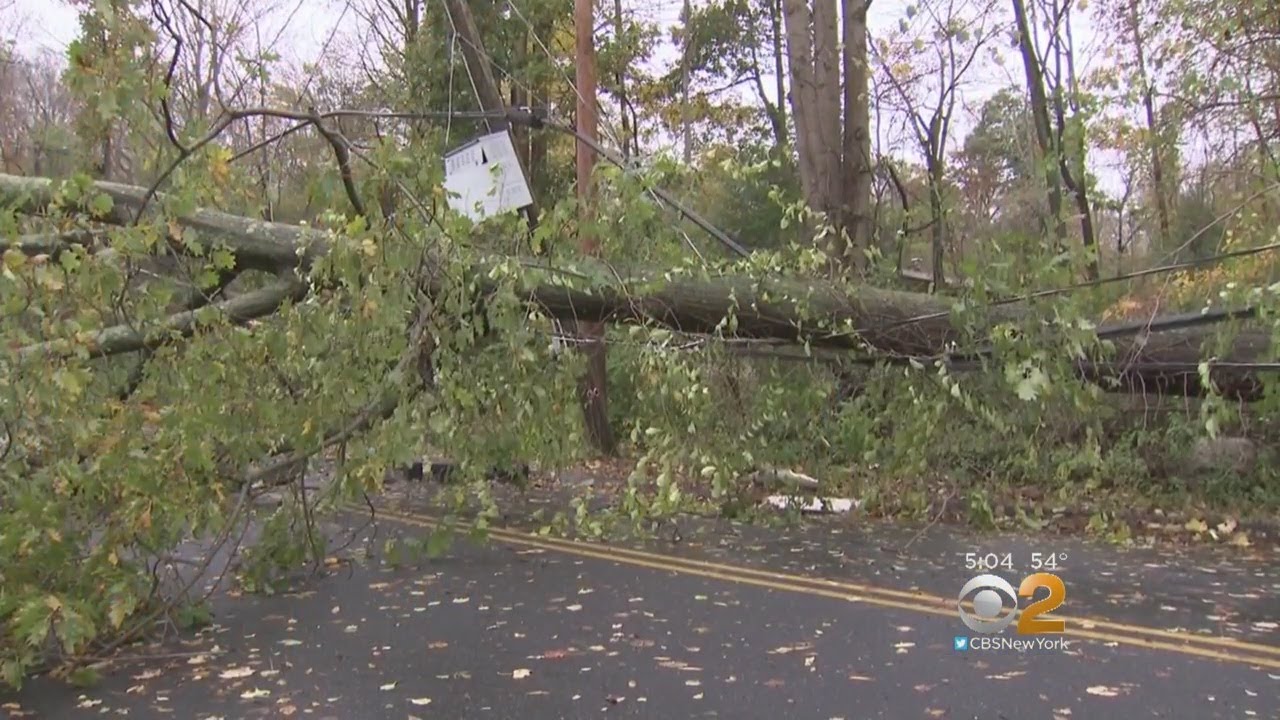 Storm Damage Prompts School Closures North Of NYC