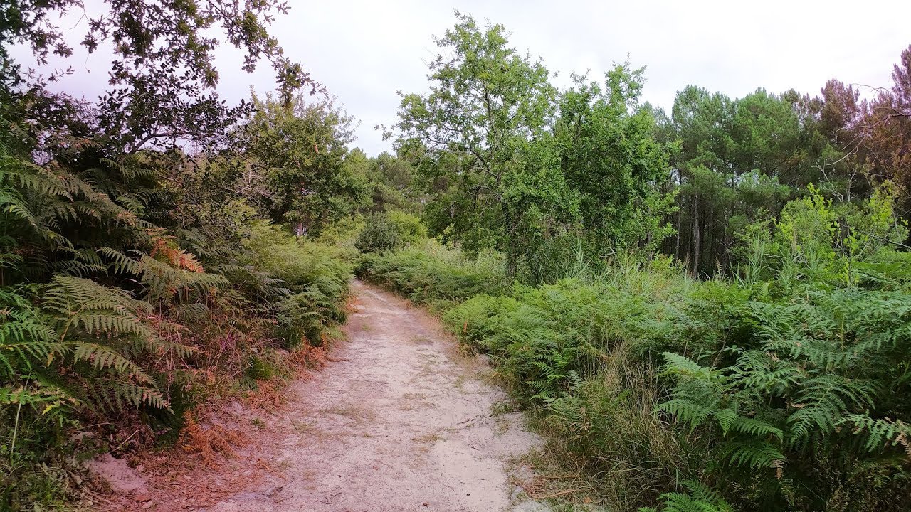VTT Vieux Boucau 🌴🌿