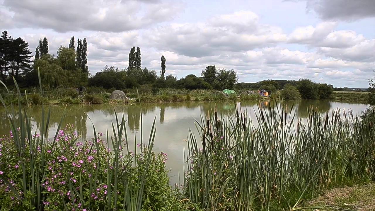 ASH PONDS, ASH, MARTOCK, SOMERSET