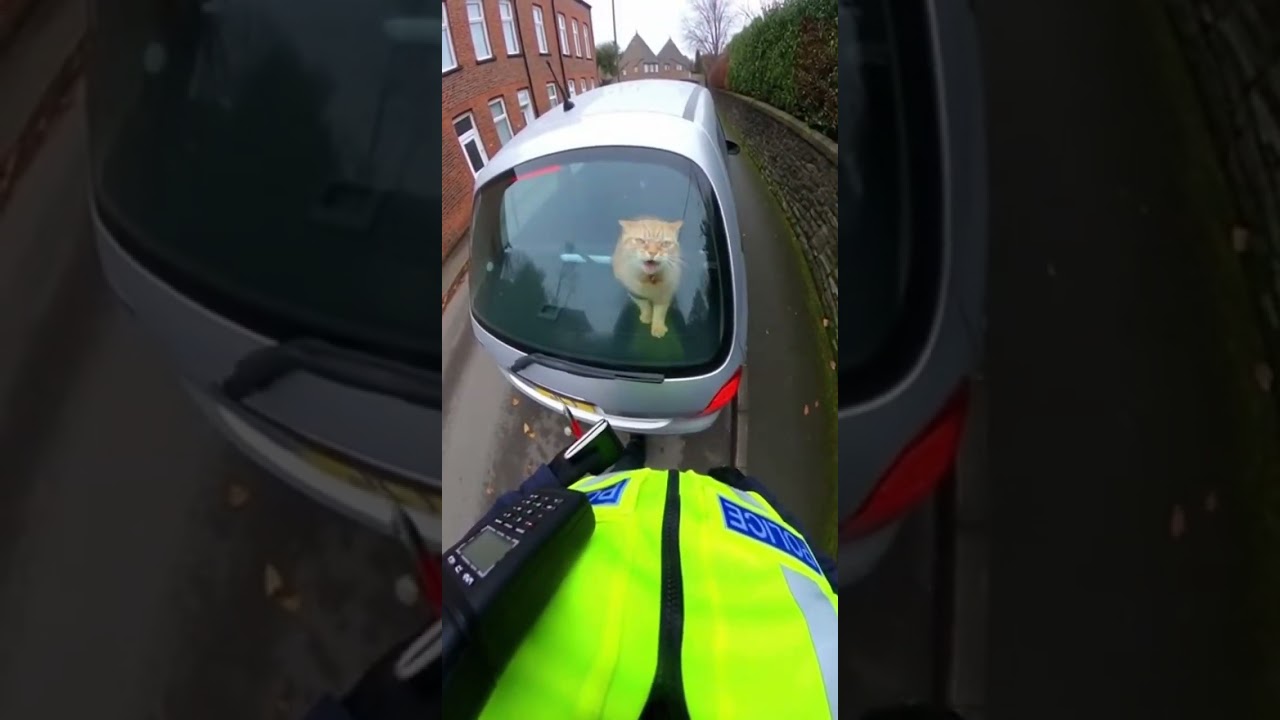 body cam footage of a UK police 