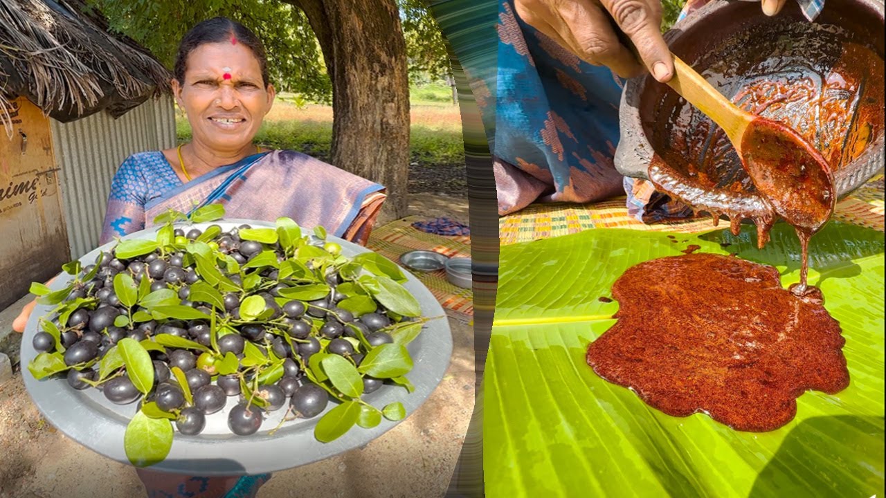 Indian BlueBerry Jaam | Wild Kalakai Cooking in Village | Spanish Kulambu Recipe | Side Dish Recipes