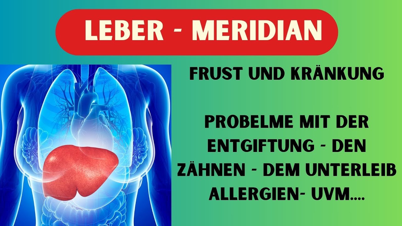 DEIN LEBER-MERIDIAN - FRUST und KRÄNKUNG - Allergien - Leberprobleme - Zahnprobleme uvm..