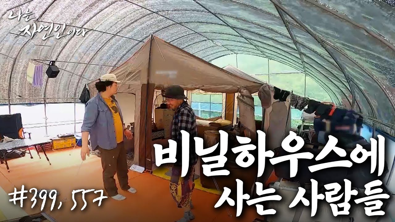 [자연집] 