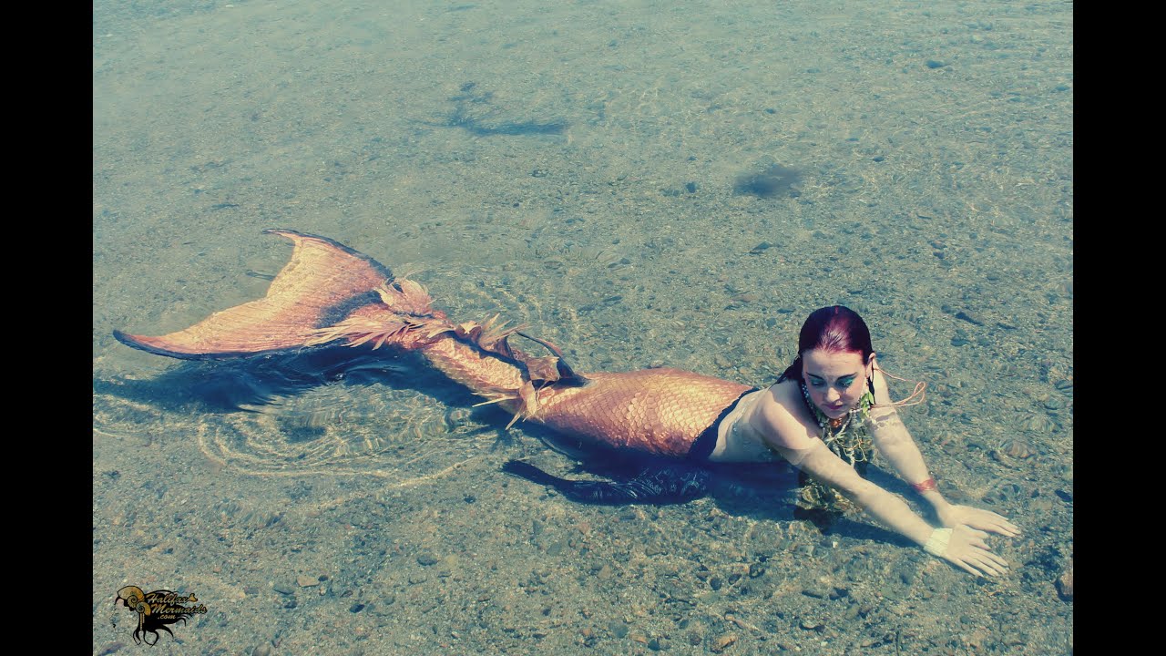 Raina Swims Into a Summer Camp