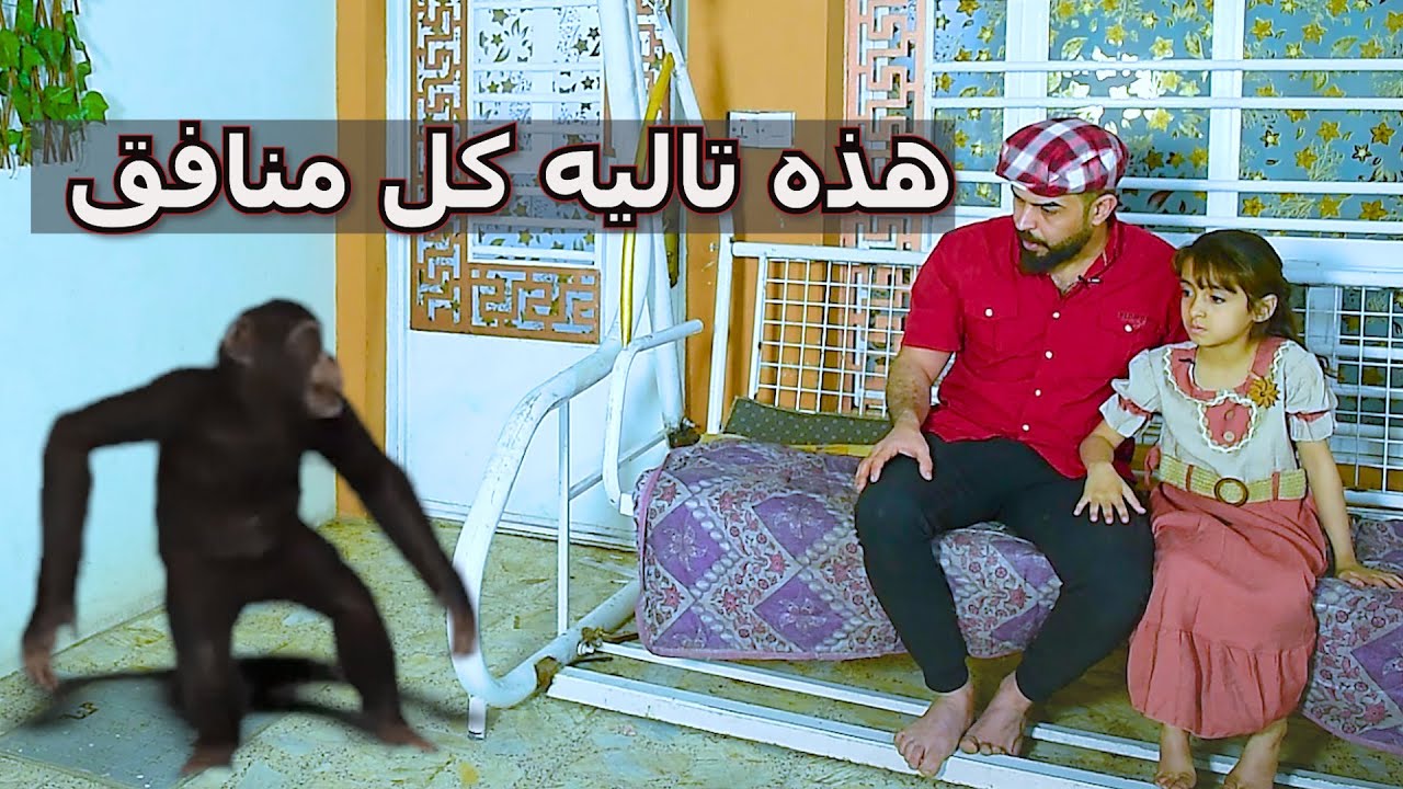 طفله تدعي على خالها المنافق ويتحول قرد