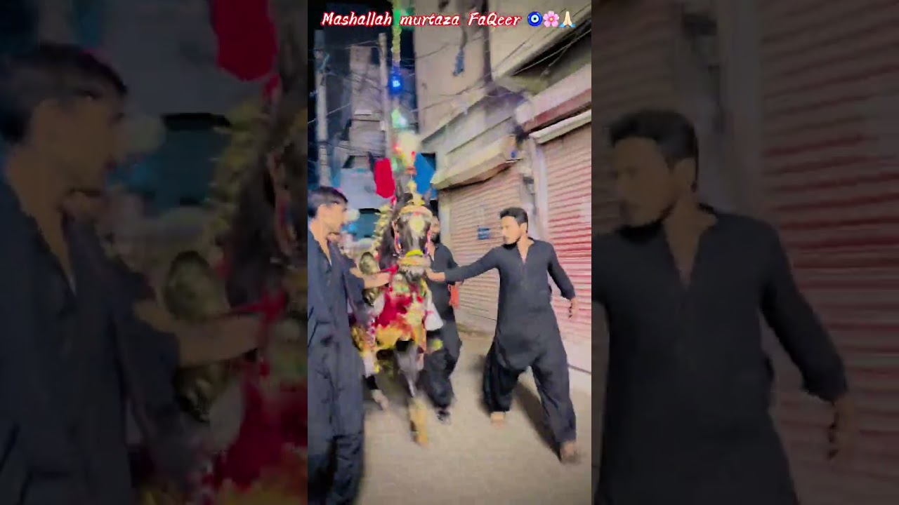 Mashallah murtaza FaQeer duti 5saffar Hyderabad dadan shah jo pir ❤️