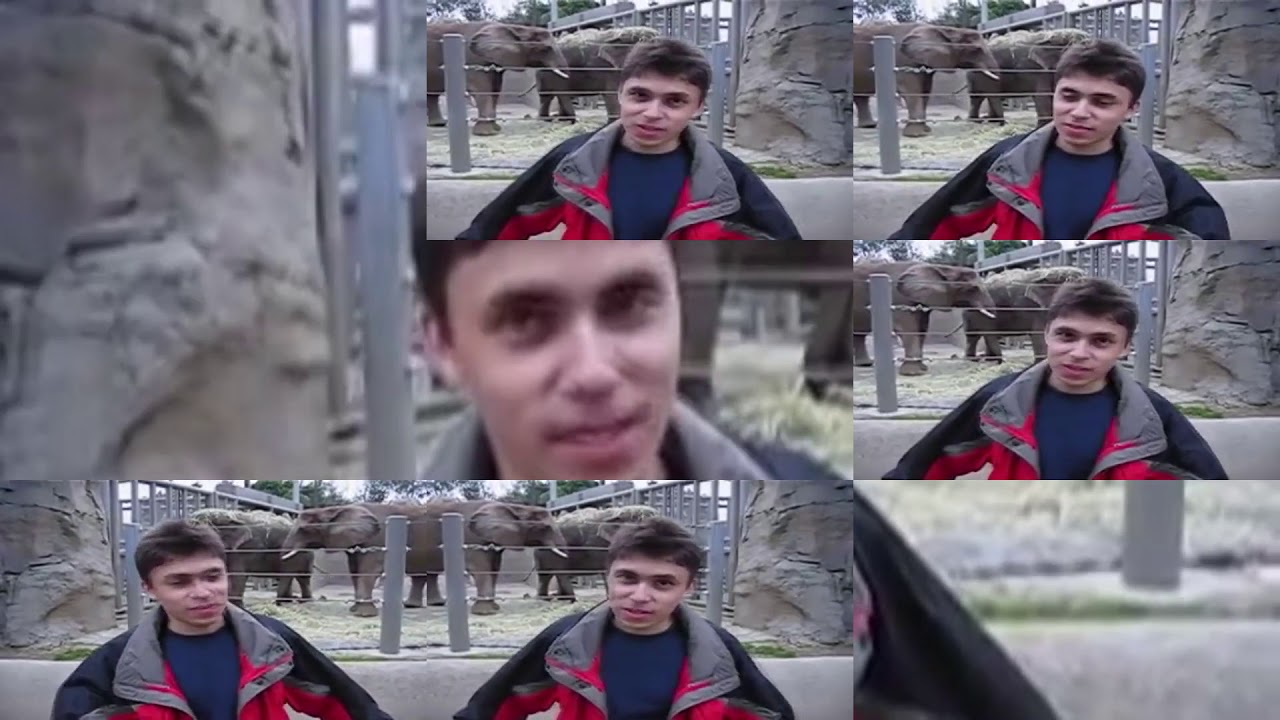 Me At The Zoo Sparta Harmless Remix