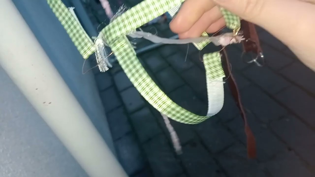 Cały muj sprzęt który wzięłam do Polski ❤️