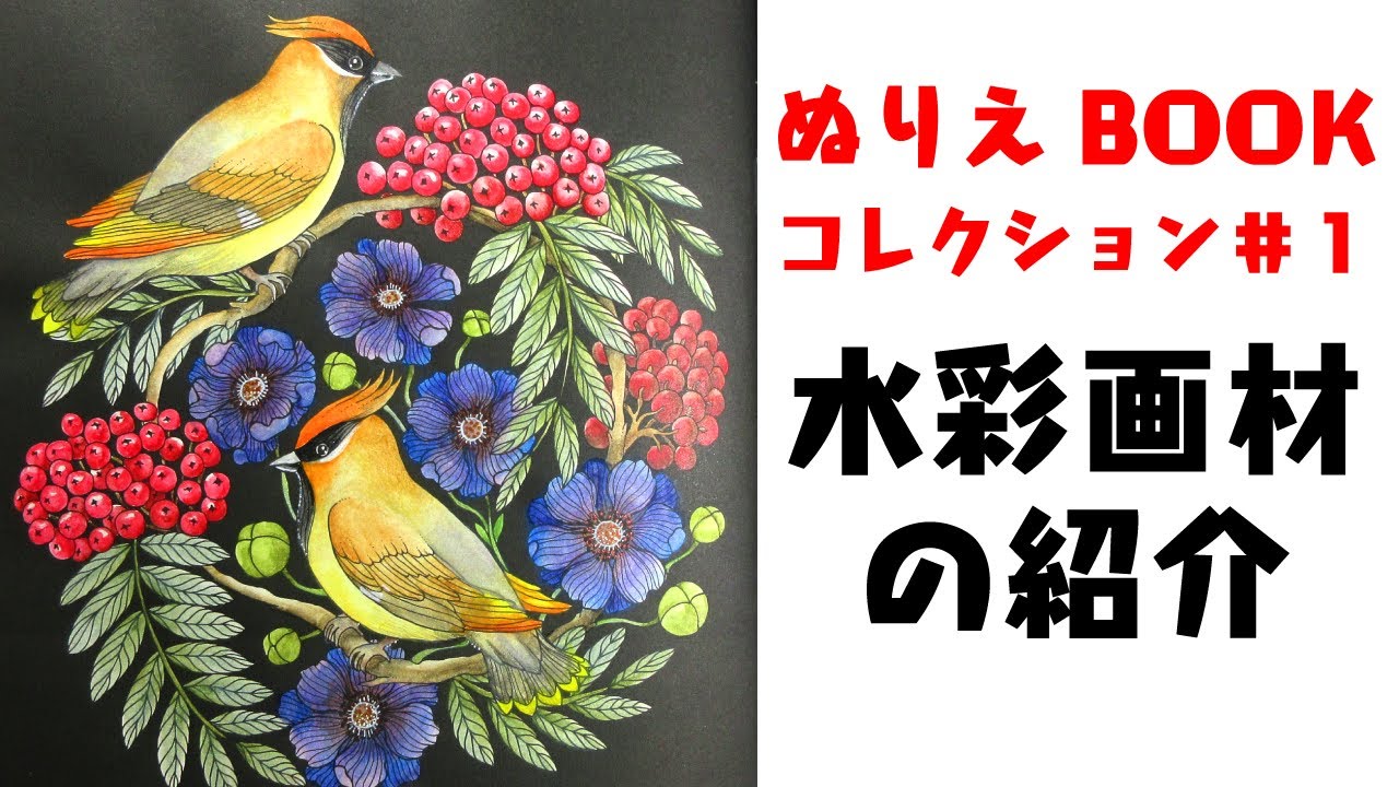 【大人のぬりえ】ぬりえ本コレクション第1回全頁紹介と愛用の水彩画材