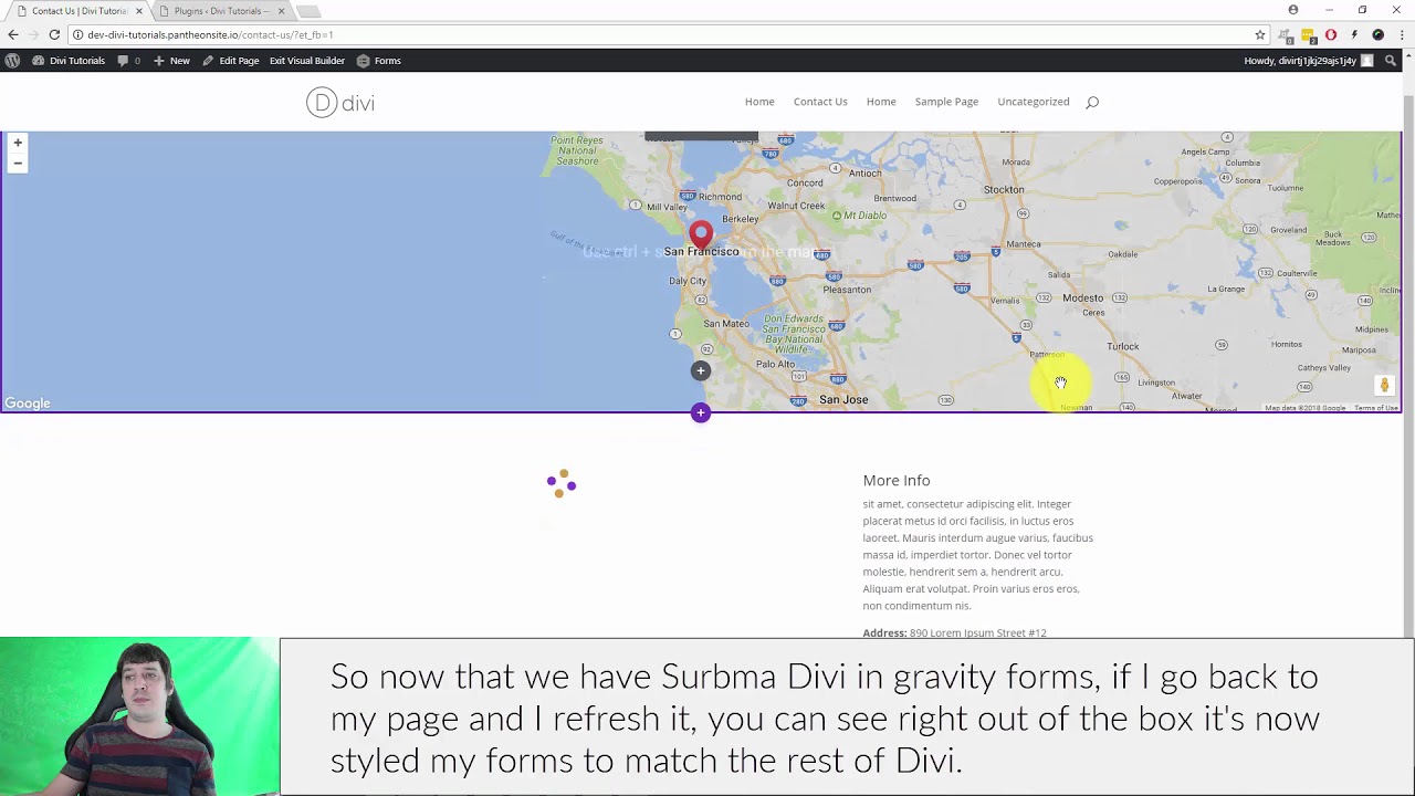 Inserting and Styling Gravity Forms with Divi from Elegant Themes