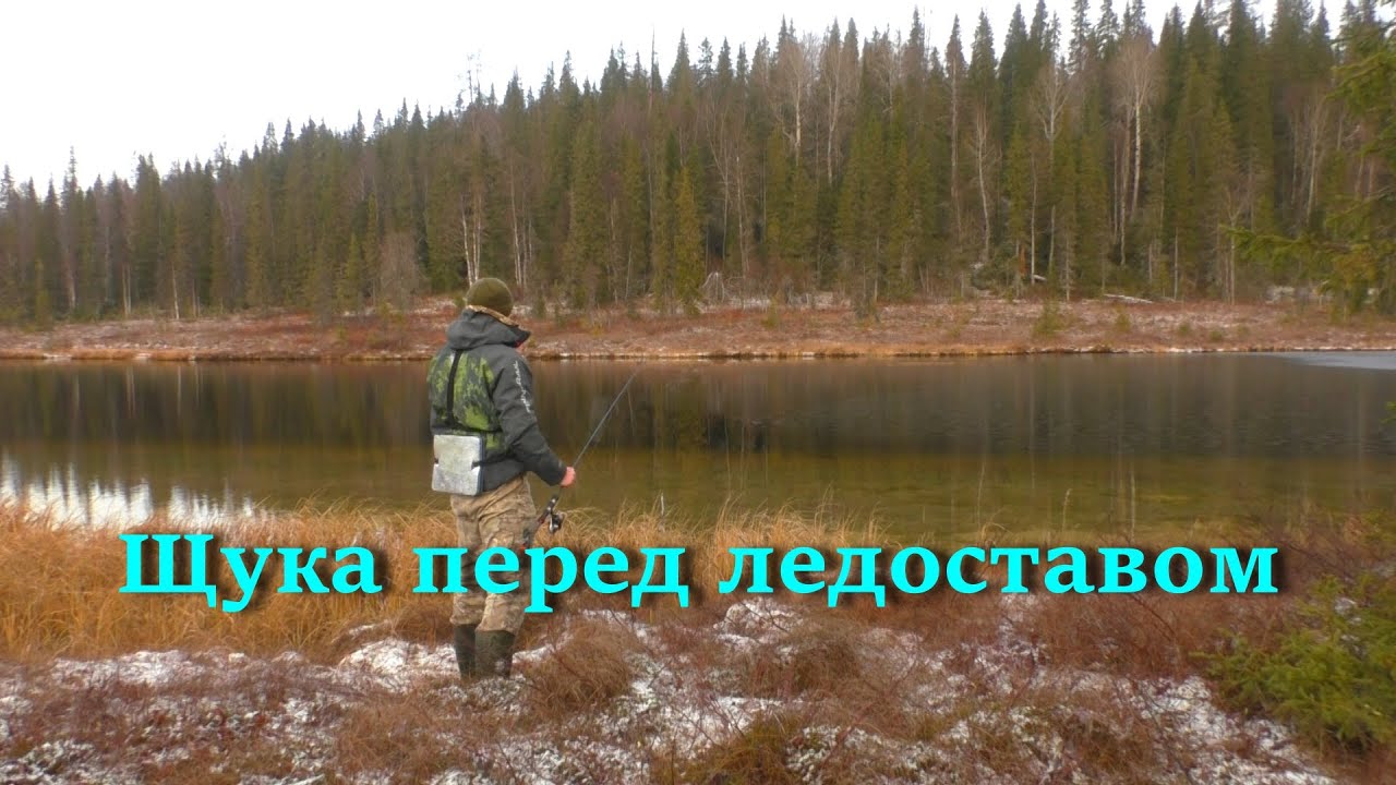 ОЗЕРО , ГДЕ ТОЛЬКО ЩУКА. РЫБАЛКА НА ЩУКУ ПЕРЕД ЛЕДОСТАВОМ.