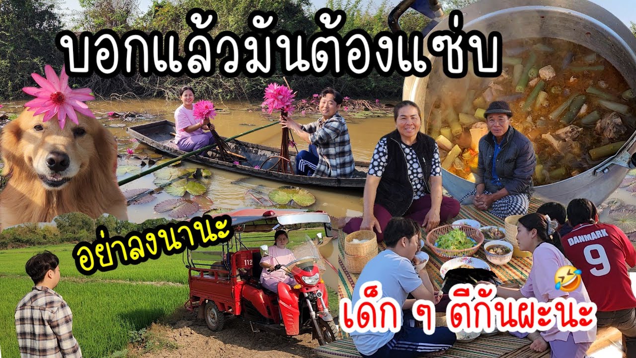 EP.846  แกงอ่อมไก่ใส่สายบัว ไปเก็บกับพี่ชินสนุกดี  กว่าจะได้แต่ละดอก 🤭 ไปไม่ถึงดอกบัวสักที