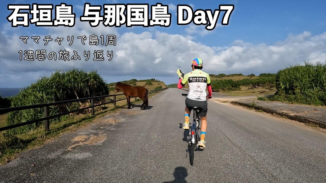【与那国島Day7最終日】ママチャリで与那国島1周して1週間をふり返る