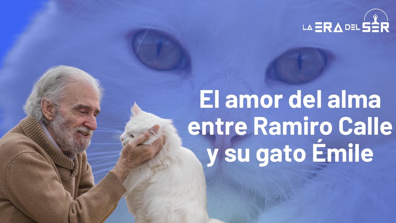 EL AMOR DEL ALMA ENTRE RAMIRO CALLE Y SU GATO ÉMILE