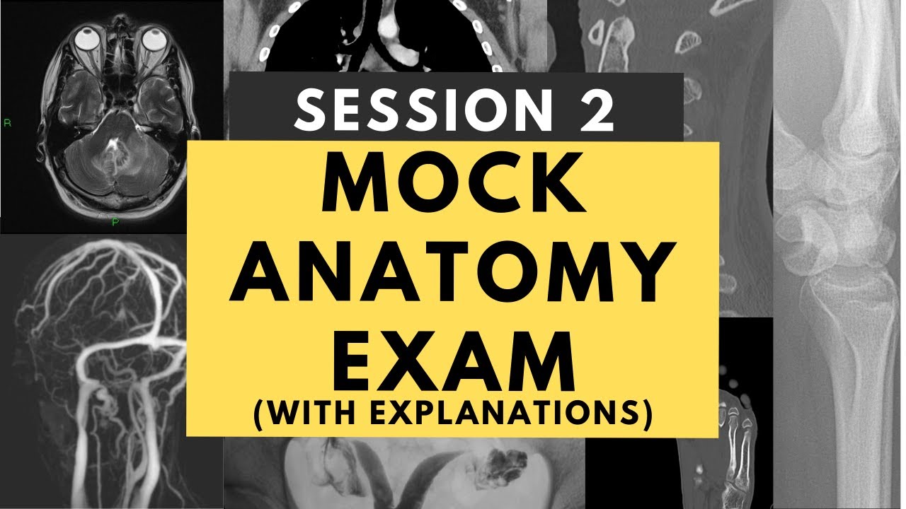 Radiology anatomy practice test: Session 2 (with answers and explanations) - FRCR Part 1/ ABR Core