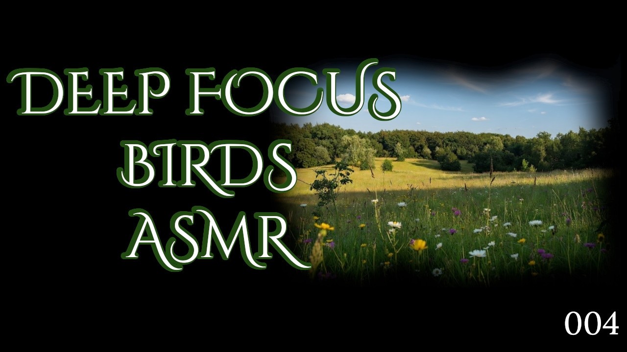 Birds Sounds in Nature – 1 Hour Relaxing ASMR for Focus & Calm | Blackbird | ASMR 004 | GloomkaArt