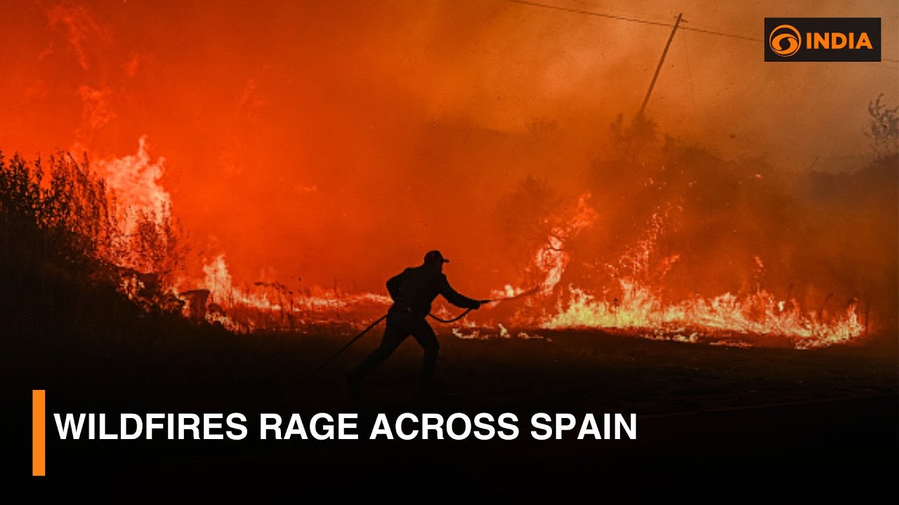 Spain Battles Worst Wildfires in Decades | Climate Emergency Update | DD India