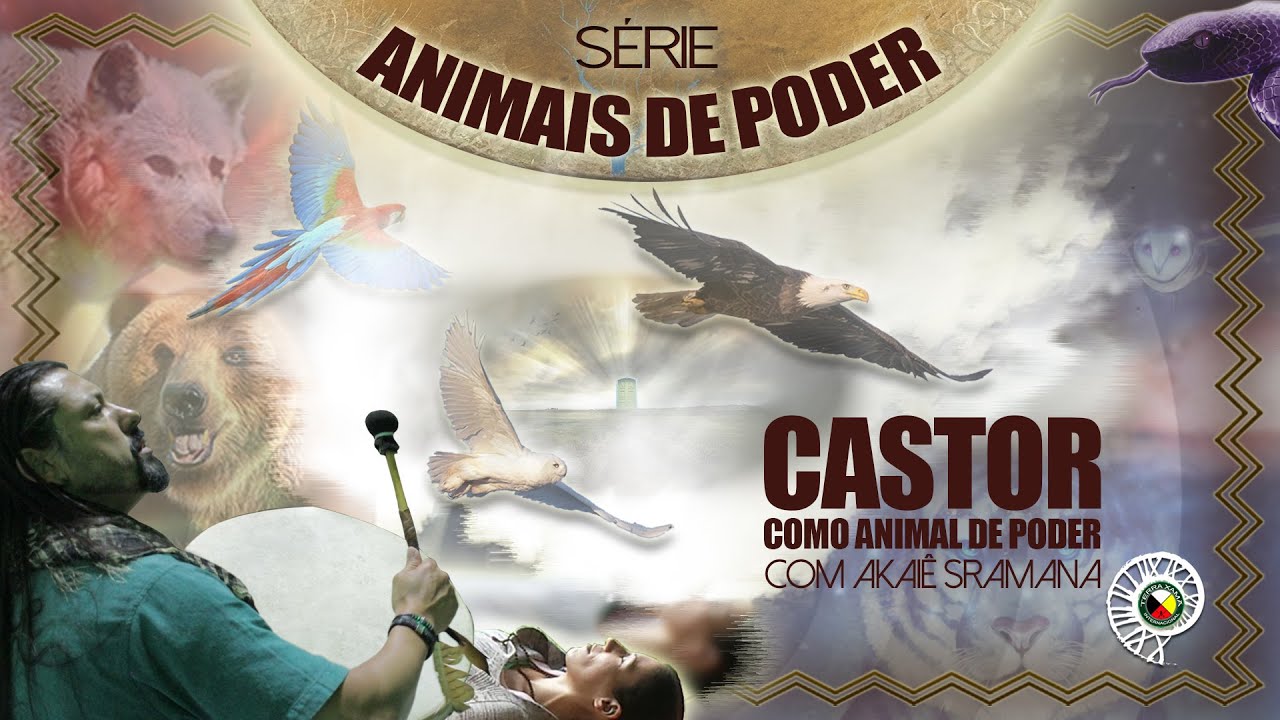 Castor » Como Animal de Poder » Akaiê Sramana