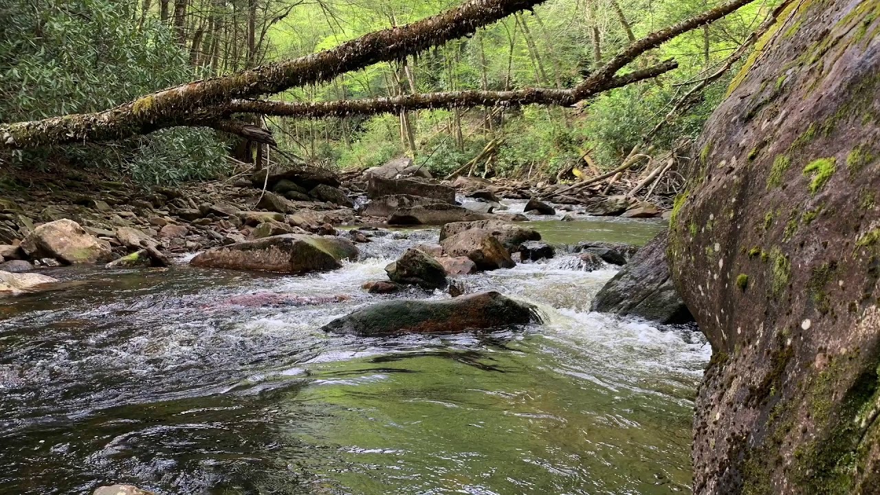 Otter Creek Wilderness Backpacking