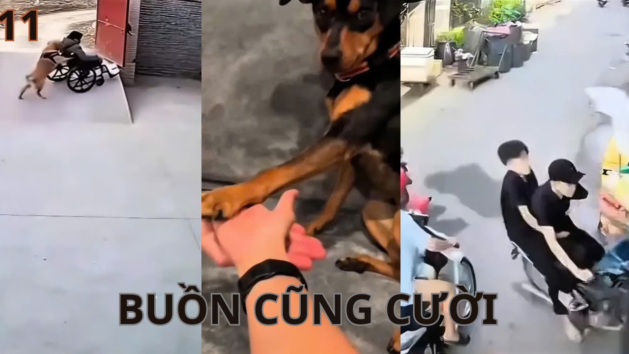 Hài Số 1: Lối Đi Riêng Của Người Thành Công Và Cái Kết ( phần 11)