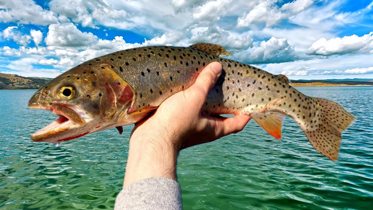 My BEST Fishing Day at STRAWBERRY RESERVOIR!!! Catching BIG Cutthroat Trout & Rainbow Trout! (CRAZY)