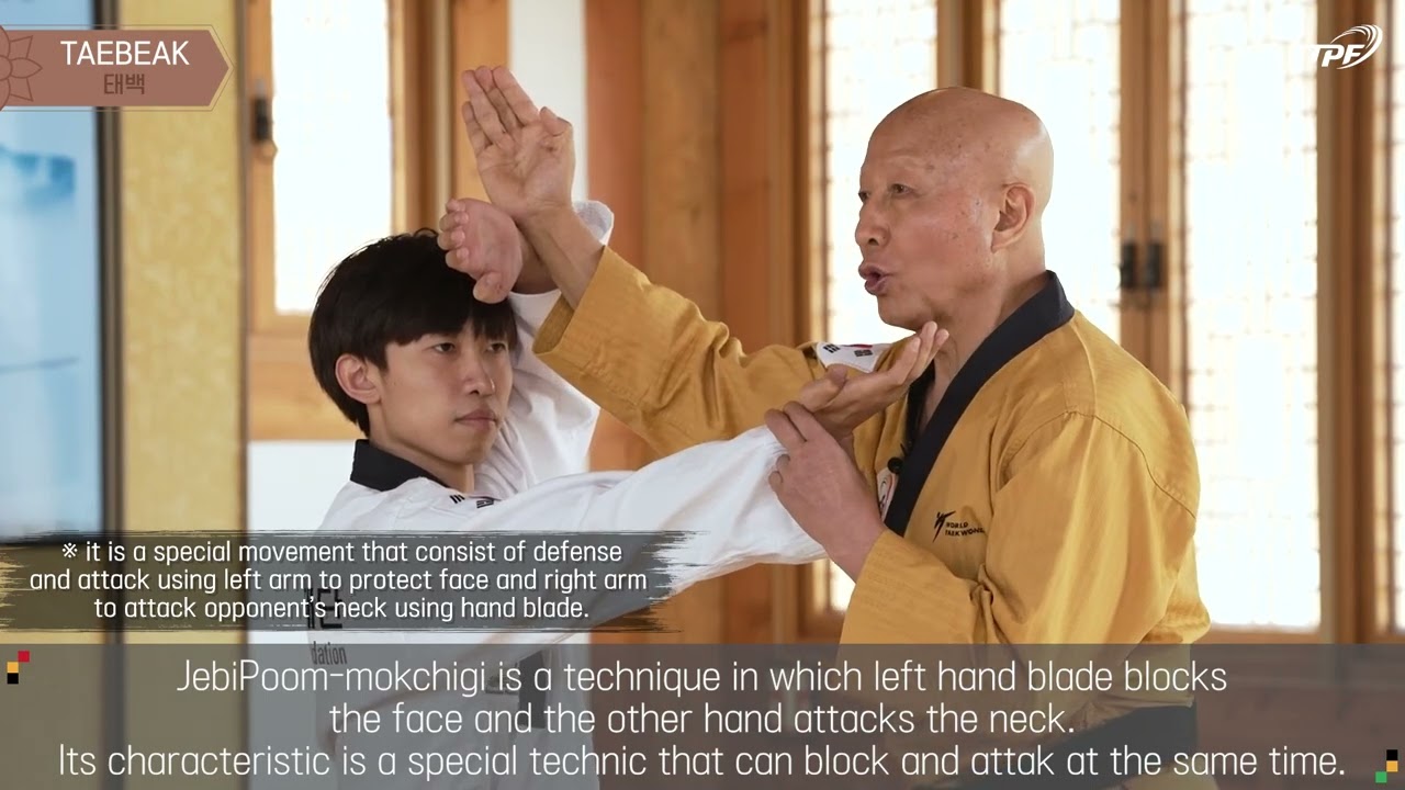Taebaek Poomsae explanation - Taekwondo Promotion Foundation Educational Program