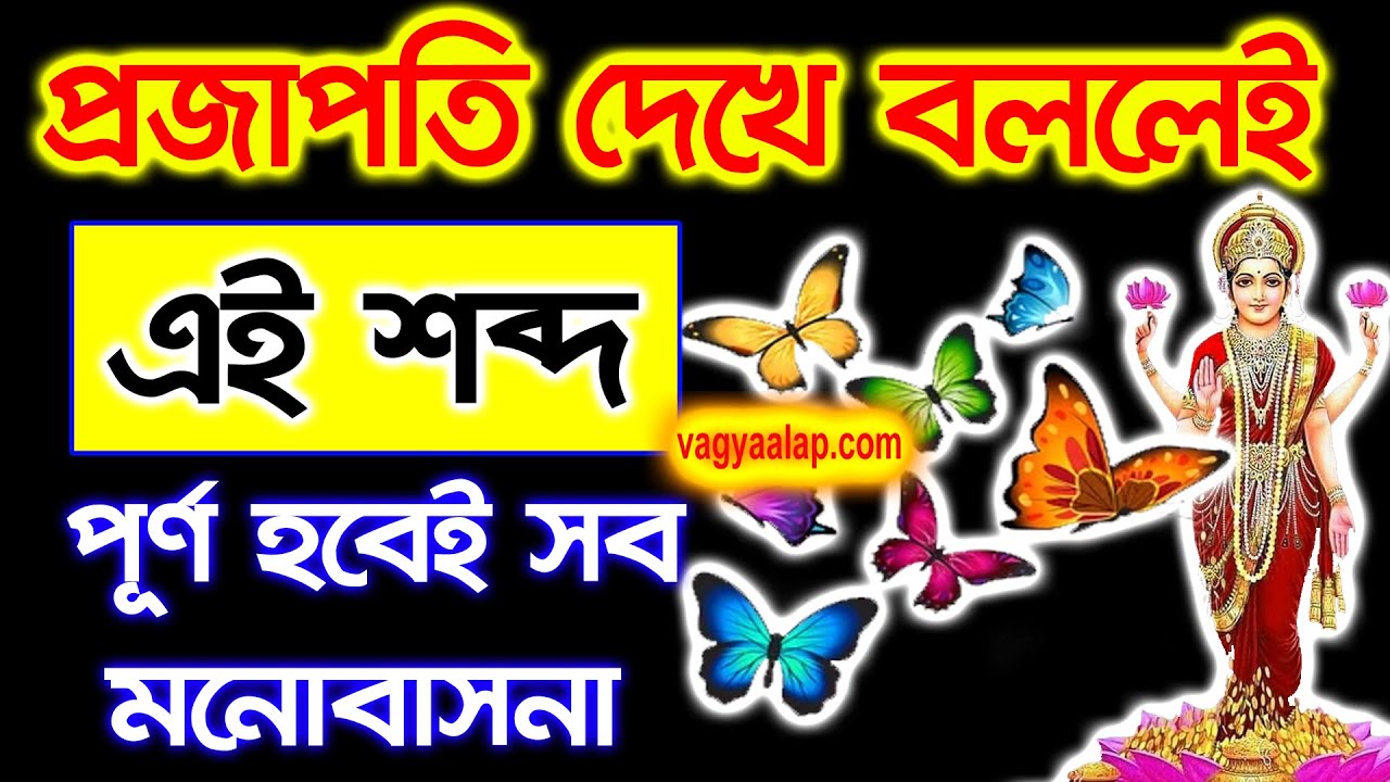 প্রজাপতি দেখে বললেই এই শব্দ পূর্ণ হবেই সব মনোবাসনা | wish fulfill totka | butterfly |