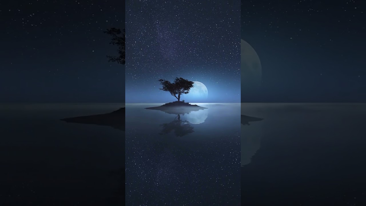 You Feel Lost But Still Fighting