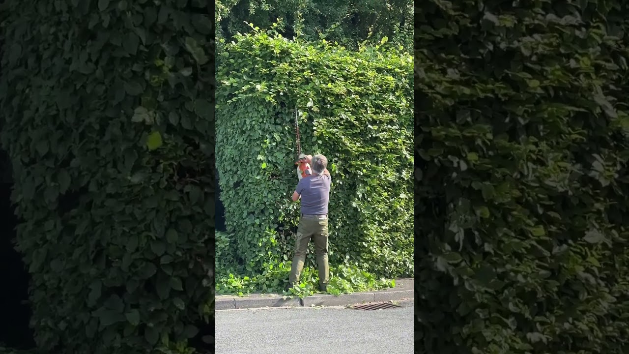 Plant trimmer #clean #garden #cleancity 🇩🇪