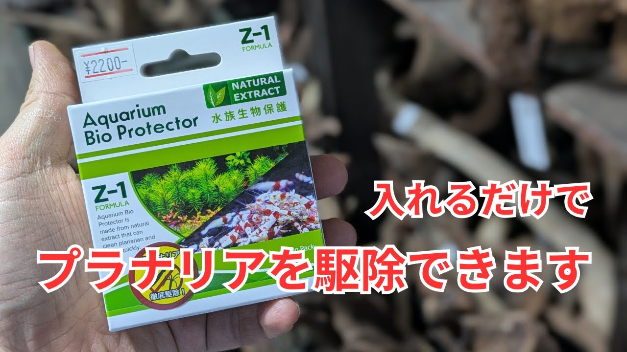 Z-1はプラナリア駆除に効果バツグンでした！