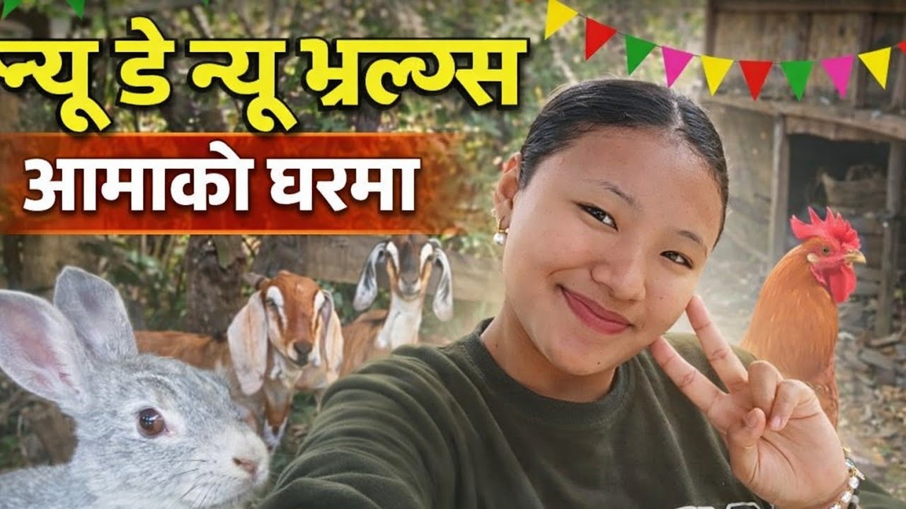 न्यू डे, न्यू भ्लग्स – आमाको घरमा गाउँको रमाइलो दिन!” 🌿🐐