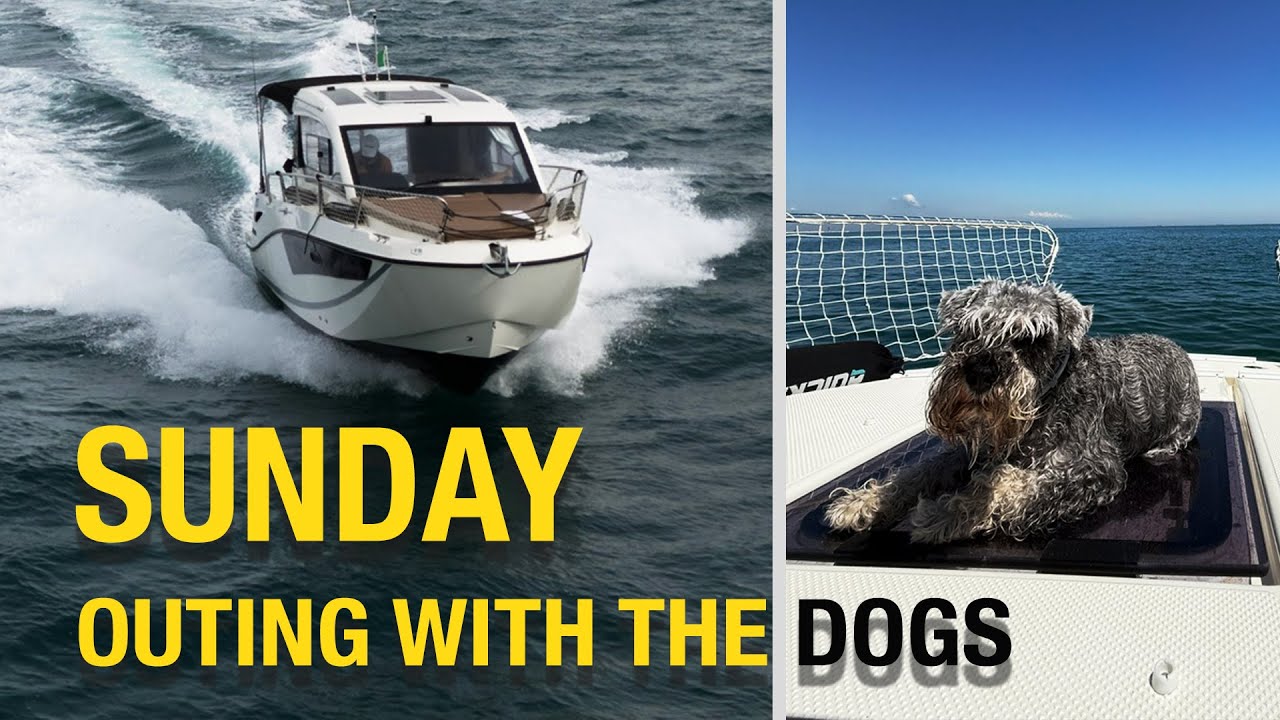 🐶 Sunday boating with the dogs | Boat trip on our Quicksilver 755, Beach & relaxation | Just Us 3