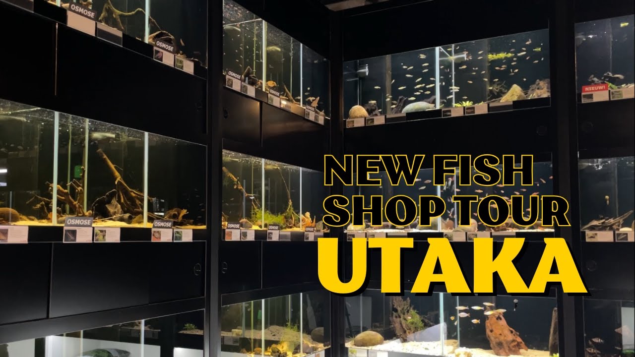 Amazing fish store in the Netherlands!