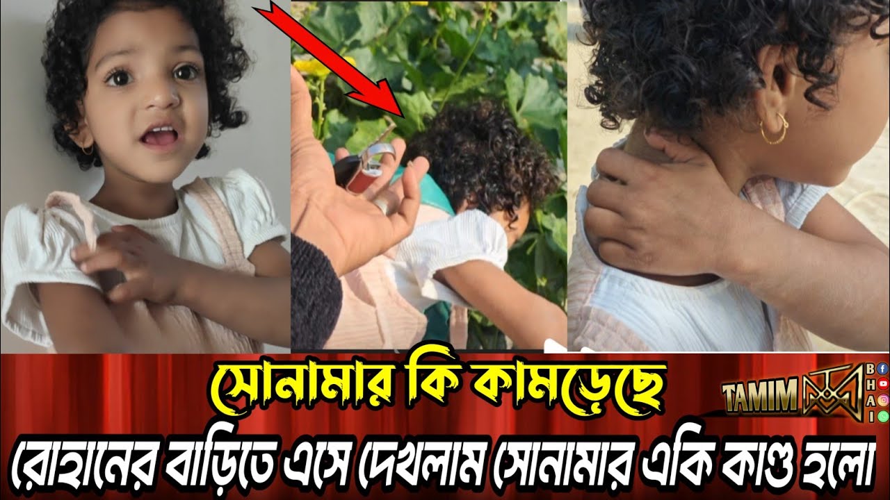 সোনামার হঠাৎ কি কামড়েছে সেটা নিয়ে আমরা চিন্তিত।